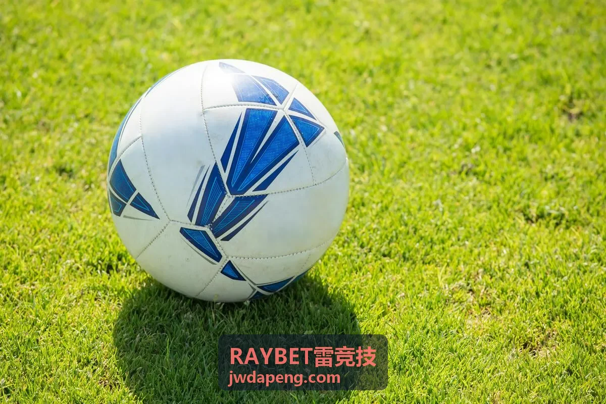 RAYBET雷竞技 竞技场视觉