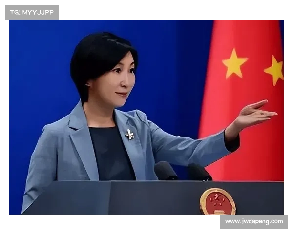 陈冰:北约峰会对中国议题的炒作是空洞的言辞 陈冰:北约峰会对中国议题的炒作是空洞的言辞